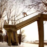 Black Winter Teaser – Standard Films