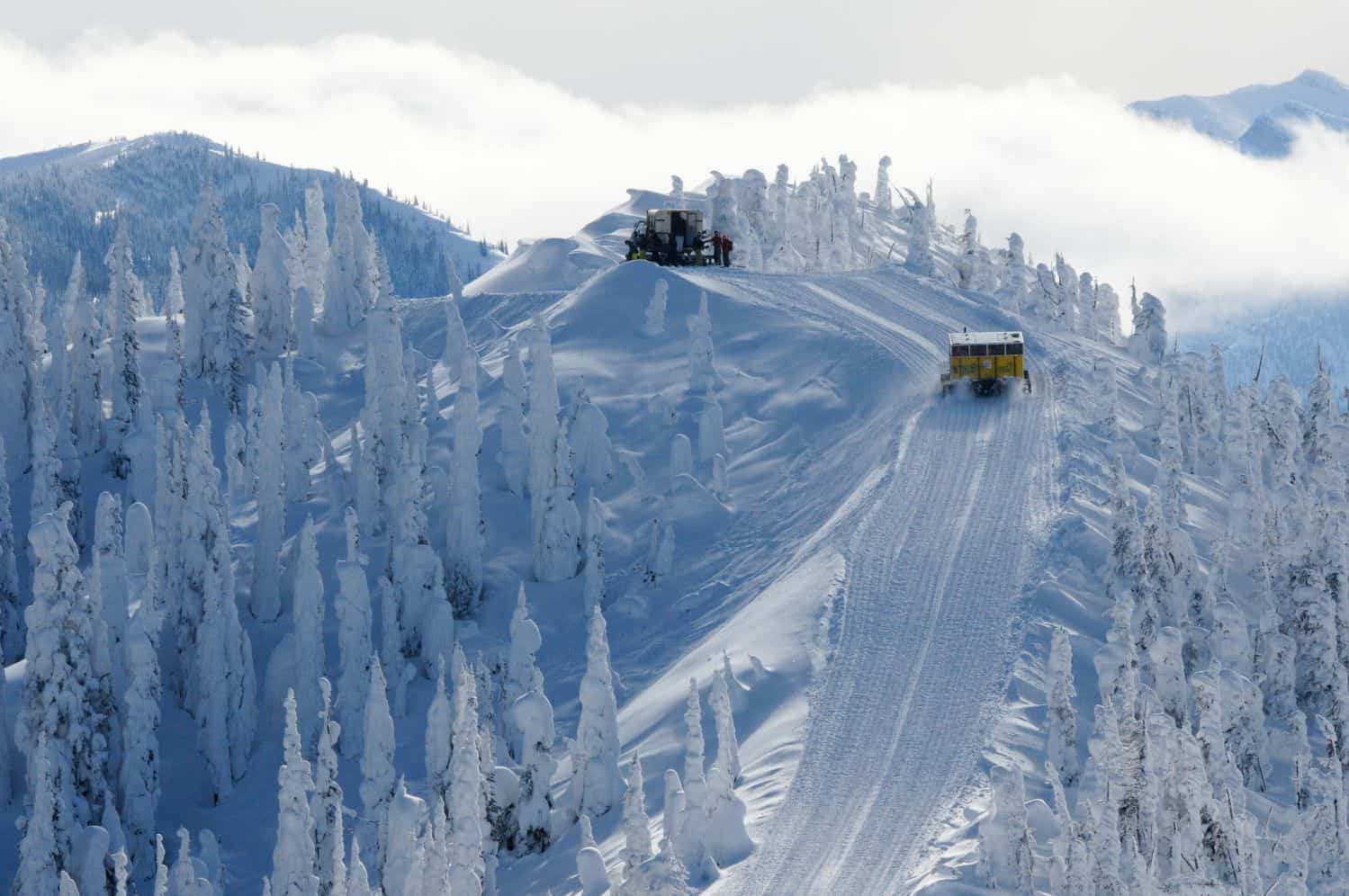 Fernie Ski Resort British Columbia Ski Resorts Mountainwatch