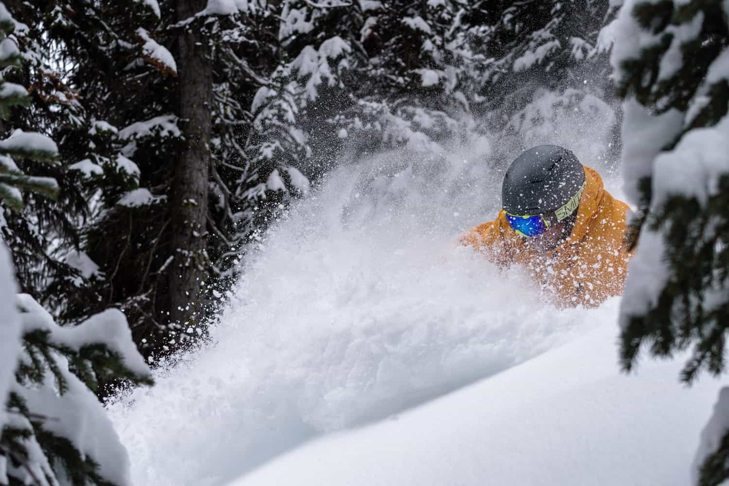 Sunshine Ski Resort Canada Ski Resorts Mountainwatch