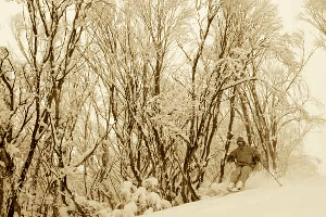 Snow Storm Journal - Australia Sept 26 and 27, 2009