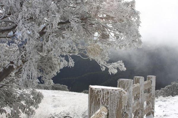 Snowy-morning-Mt-Buller-12-May-10