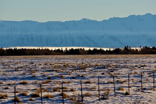 Th McKenzie Country, near Tekapo in New Zealand's South Island on Tuesday 29th June 2010