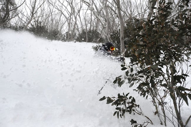 Al Clay with a wall of Hotham pow as he skirts the Schuss Trees