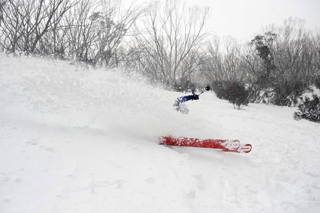 Duke the Avalanche bartender lays down the big planks in the Schuss Trees