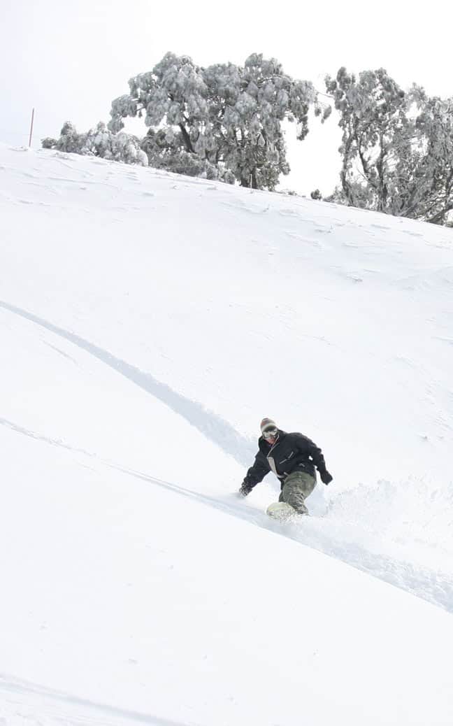 Andrew finds a powder stash