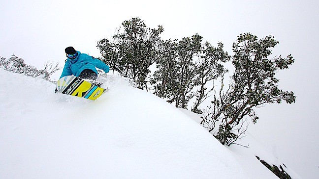 New Snow in the Alps Falls Creek 6th Sept 2010 pic by Hocking (1)