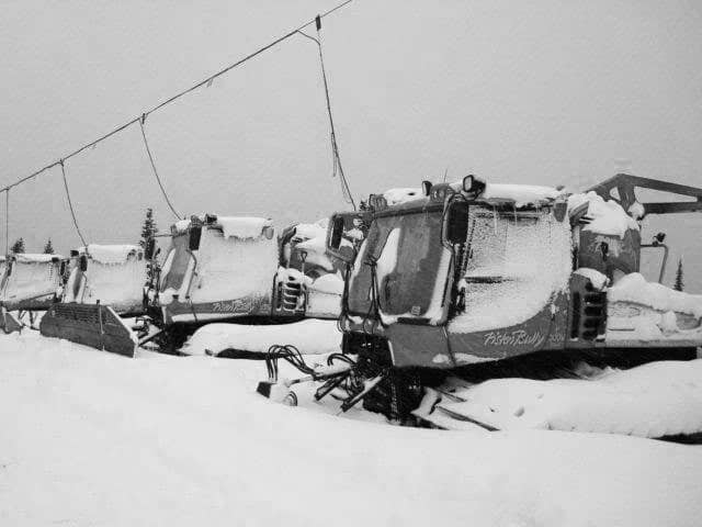 The snowcat fleet looking at home in all the pow, 1 November. Image:: Whistler/Christian Staehli