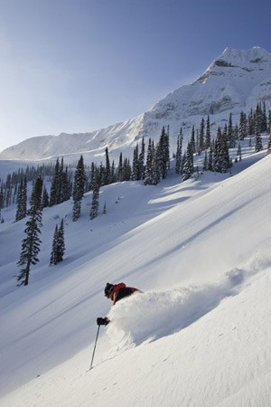 Fernie2009