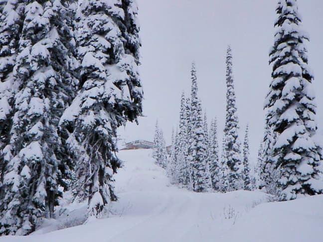 Snow covered Fernie. Image:: Fernie