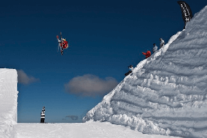 The Q&A - McRae Williams