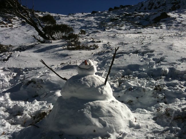 Thredbo top of snowgums 15 may