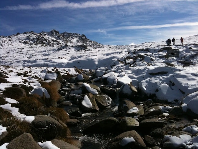 thredbo may 29