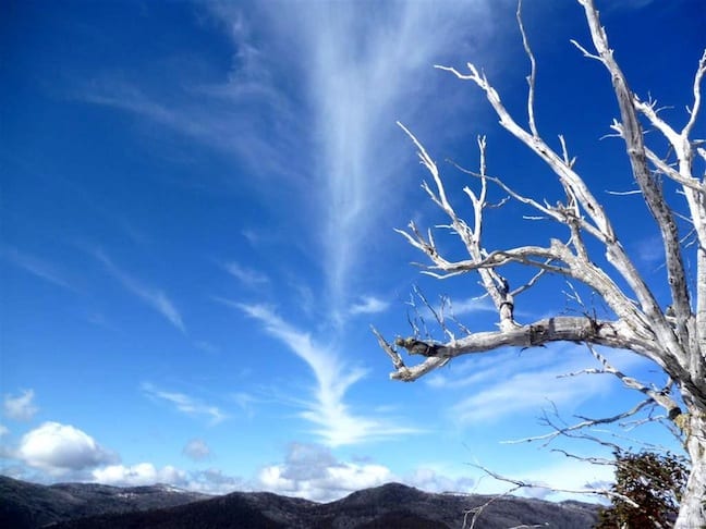 thredbo 22