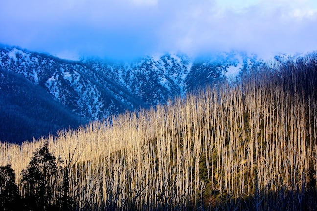 Twilight in Falls Creek Image::Courtesy of Hocking