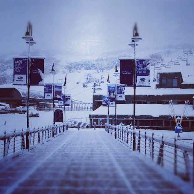 perisher by ripcurl