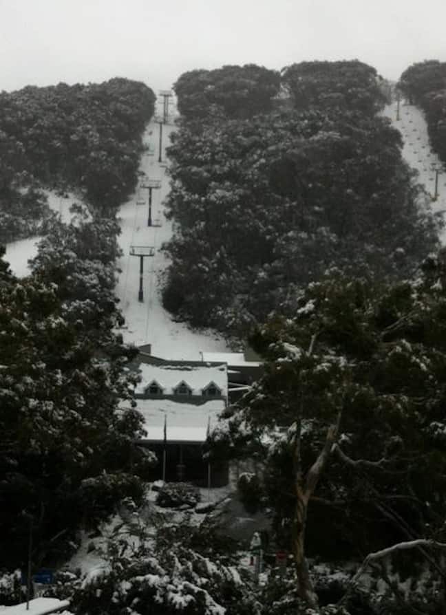 thredbo ripcurl