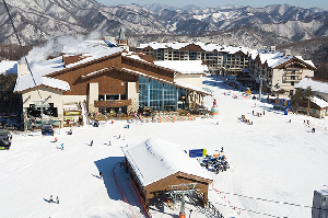 Skiing in South Korea, Pass the Kimchi - Travel