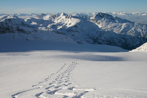 TRAVEL USA - Epic Snow, Dollar Parity, It'd be Rude Not to Ride North America this Season