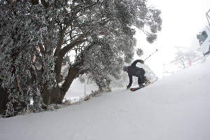 BULLER - Harro's Photo Snow Reports