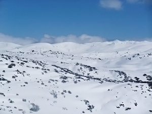 PERISHER, The Best Spring in Years