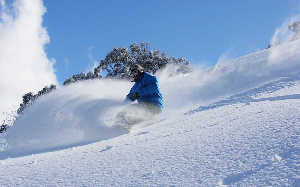 Photo Snow Report - HOTHAM Bounces Back with 15cm of Fresh
