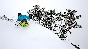Photo Snow Report - FALLS CREEK Amazing Comeback