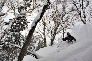 Travel Northern Hemisphere - The Pros' Favourite Snow Spots
