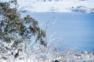 Snow Season Outlook 2015 - June Update - Australia - Welcome to Winter