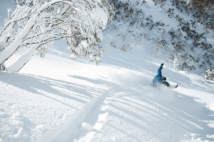 THREDBO Photo POWDER Report - 1m Snow Storm