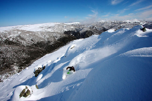 17 August, 2010 - Fresh Backcountry Powder at Falls Creek