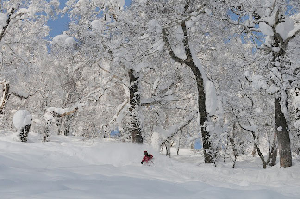 World Snow Wrap Up Vol. 15, 7 February - it's Cold Outside