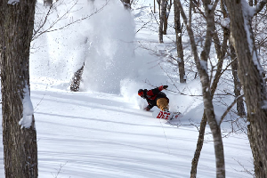 Shiga Kogen - Honshu, Japan - The Definitive Guide