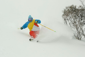 SNOW JOURNAL - August Keeps On Delivering