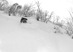 12 - 13 August, 2010 - Powder at Thredbo