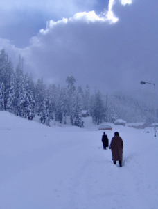 TRAVEL KASHMIR - Bill's Trips