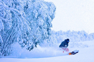SNOW JOURNAL - The Storm Of The Season