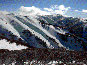 Dirt Track to Powder - The Barry Way to Mt Hotham