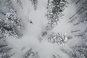 Who's Heard Of Snow In New Mexico?
