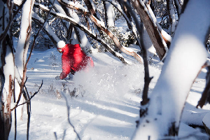 2 - 3 August, 2010 - New Snow Revitalises Buller