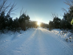 Lake Mountain Resort