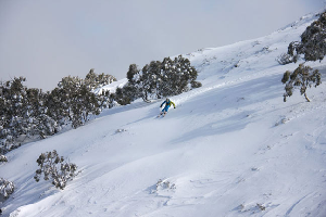 3 August, 2010 - 51cm at Mt Hotham Since Sunday