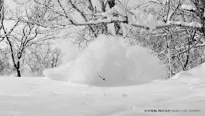 VIDEO NISEKO - it Just Doesn't Stop Snowing