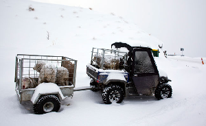 New Zealand Photo POWDER Report - Wild Weather