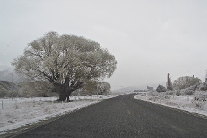 New Zealand's 2010 Spring Powder Storms Explained