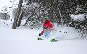 Photo Snow Report - HOTHAM Half a Metre of Snow