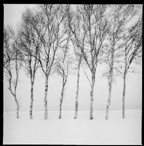 TRAVEL JAPAN - Niseko - Imaginary Flying Machines