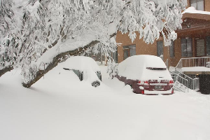 August Snow - Over 2m and Counting