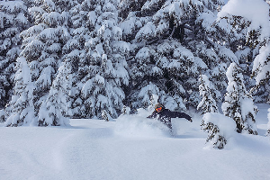 Mt Bachelor – Out Of The Box