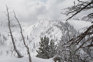 PHOTOS - Shredding Sidecountry in Alta