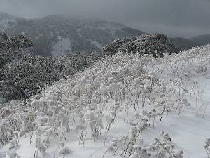 BLOG The Snow Greenie - Time to get into the Backcountry